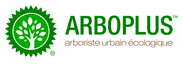 Arboplus